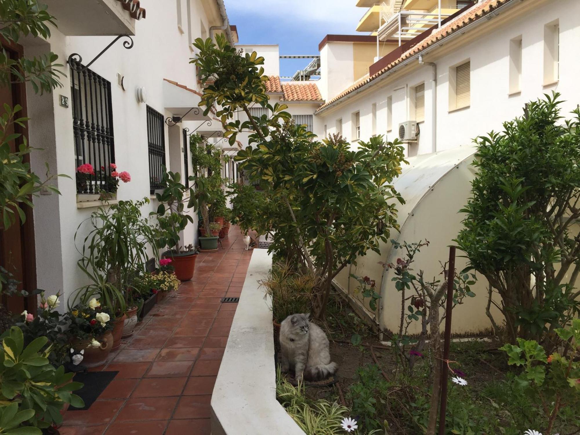 El Cortijuelo. Magnificent Triplex Terraced House With Rooftop Of 18M2, Overlooking The Sea. Parking Torremolinos Kültér fotó